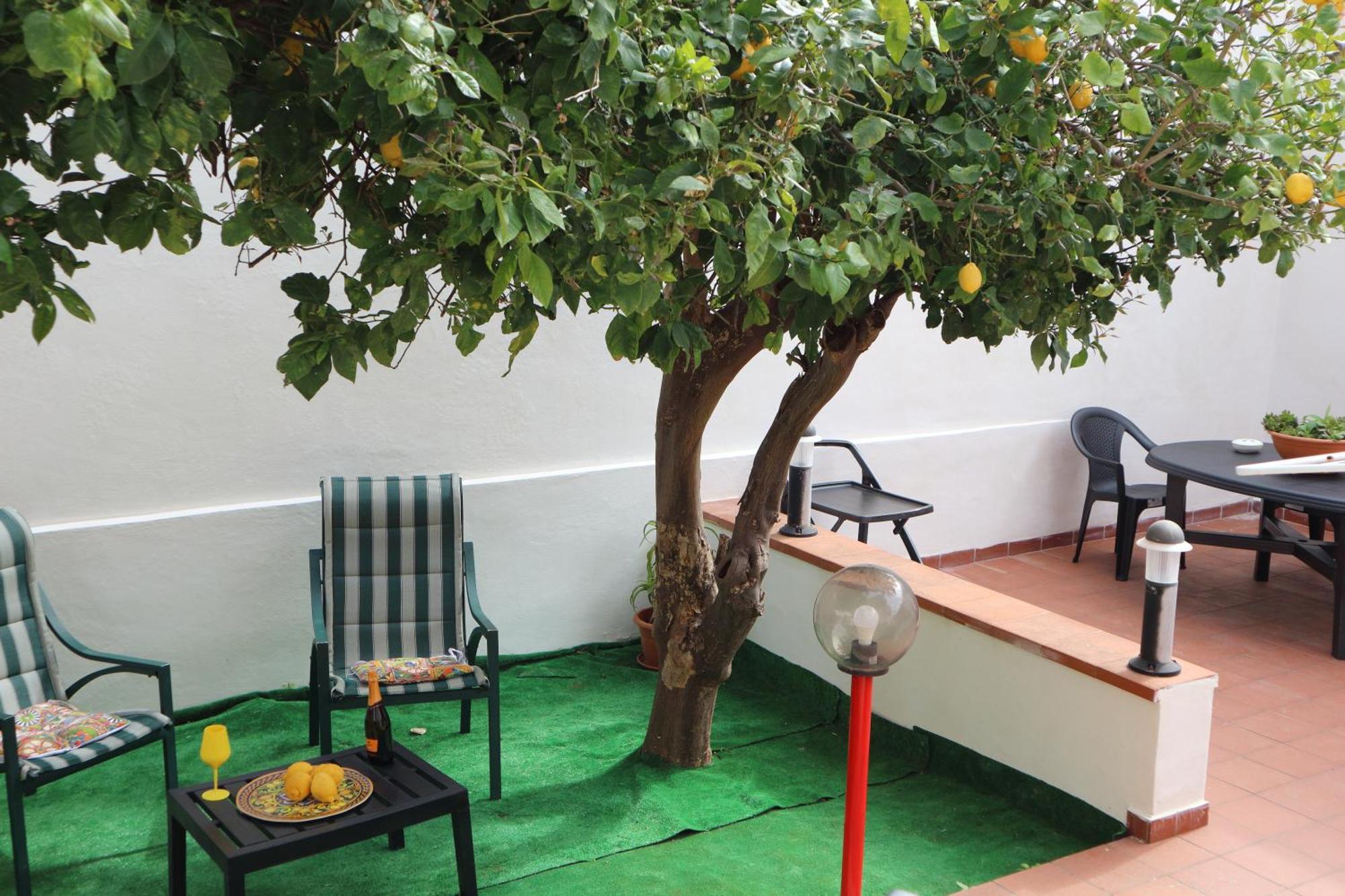 Mondello House Lemon Apartment Palermo Exterior foto